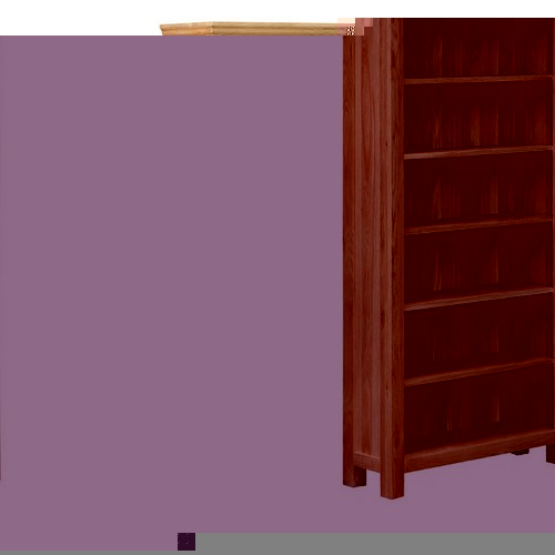 Large Oak Bookcase 594.032
