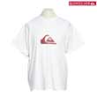 Quiksilver One Colour Wave Tee - White