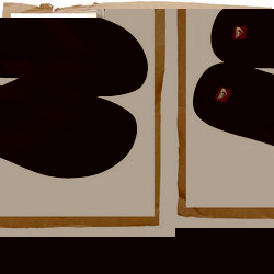 Switch Flip Flop Black