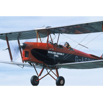 R Experience Gifts `R` Experience Try a Tiger