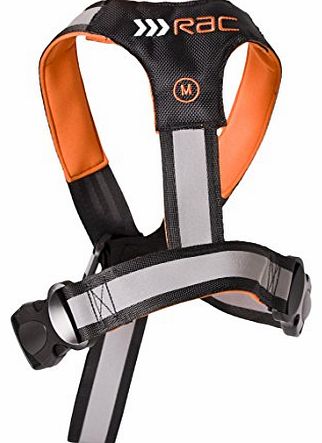 RAC Advanced 2 in 1 Car Safety Harness for Dogs, Large