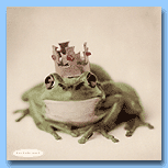 Rachel Hale Rachel Hale - Green Frog