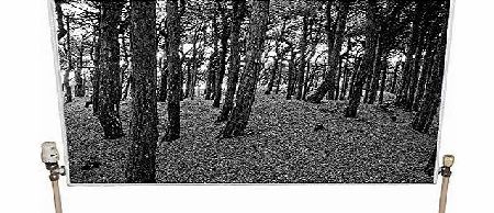 Radwraps Pinewoods Magnetic Radiator Cover - Black/ White