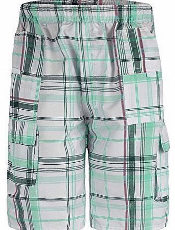 Boys Checked Shorts L-45 in Mint 3-4 Years