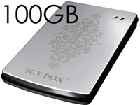 100GB USB2.0 2.5 Ext Stainless Steel Hard Drive