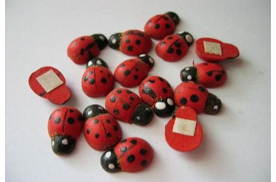 Self Adhesive Wooden Ladybirds x48