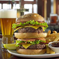 Rainforest Cafe Dinner