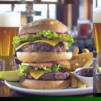 Rainforest Cafe Lunch