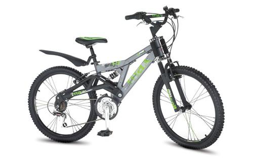 Raleigh Badd Maxx FS24 inch Wheel