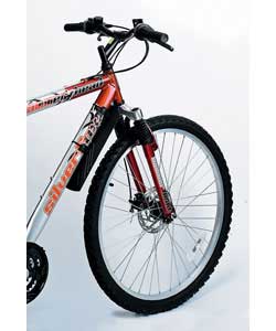 Raleigh Flinger Quick Fit Mudguard Set