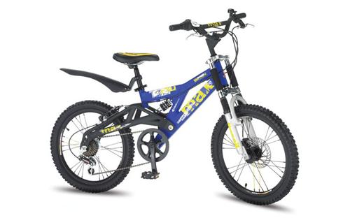 Raleigh Mega Max FS20 inch Wheel Disc