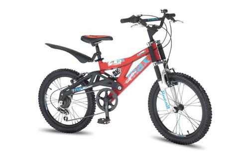 Raleigh Mega Max FS20 inch Wheel