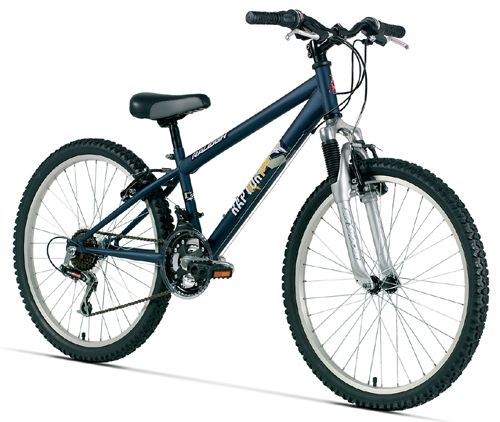 raleigh raptor mtb