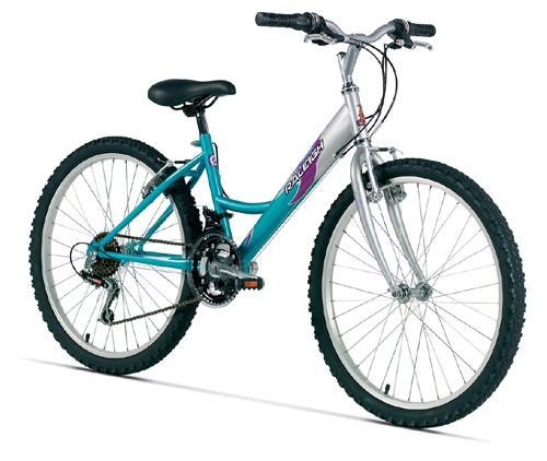 Raleigh Starz 24 inch Wheel Girls