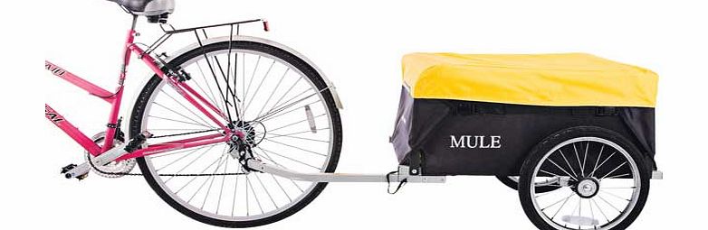 raleigh bike trailer