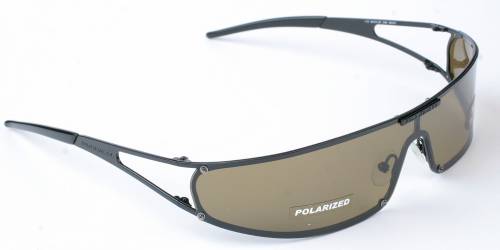 Ralph Lauren Backup Sunglasses