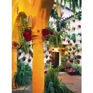 Ravensburger Andalucia Interior 1000 Piece Jigsaw Puzzle