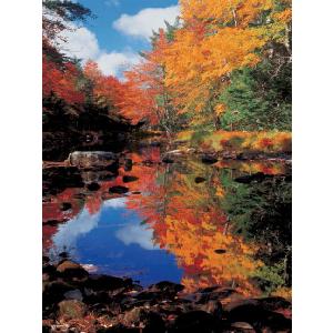 Ravensburger Canada Indian Summer 1000 Piece Jigsaw Puzzle