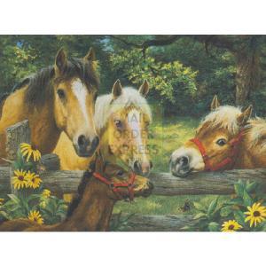 Horse Whispers Super 200 Piece Jigsaw Puzzle