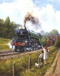 Ravensburger Puzzle Watching the Trains (500 pieces)