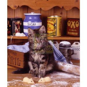 Tabby In The Kitchen 500 Piece Jigsaw Puzzle