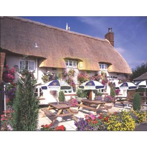 Ravensburger The Bottle and Glass 1000 Piece Jigsaw Puzzle