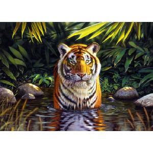 Ravensburger Tiger Pool 1000 Piece Jigsaw Puzzle