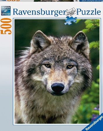 Ravensburger Wolf Portrait 500pc Puzzle
