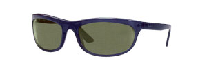 RayBan 2009 Sunglasses