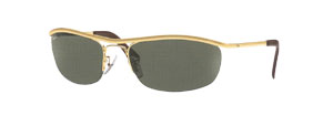 RayBan 3154 Sunglasses