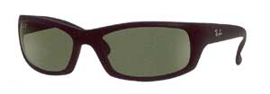 RayBan 4026 sunglasses