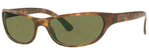 RayBan 4050 Sunglasses