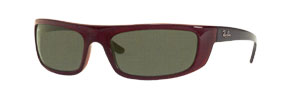 RayBan 4053 Sunglasses
