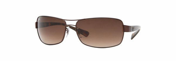 RB 3379 Sunglasses