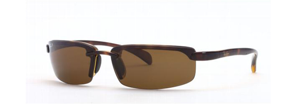 RayBan RB 4051 Sunglasses