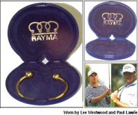 Rayma Premier Bracelet (Smooth Gold Finish)