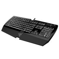 Arctosa Keyboard