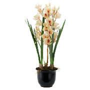 Real Touch Orchid In Black Planter