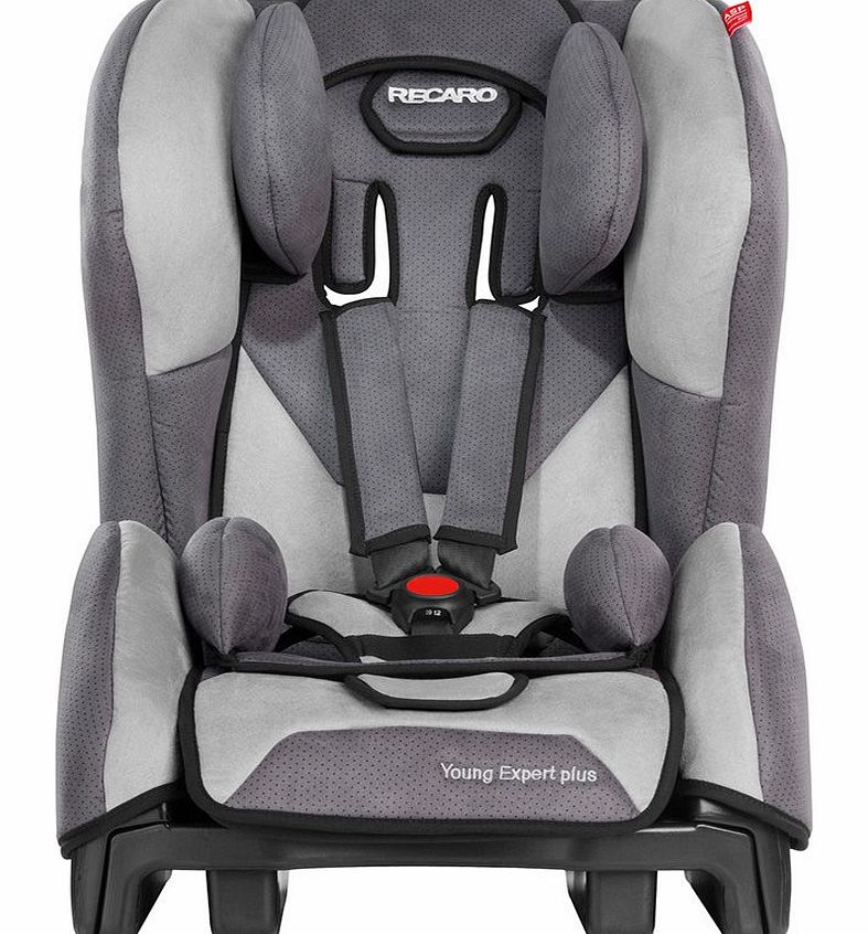 Young Expert Plus Shadow Car Seat 2014