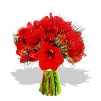 Red Amaryllis Bouquet flowers