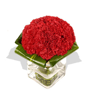 Red Carnation Cube flowers