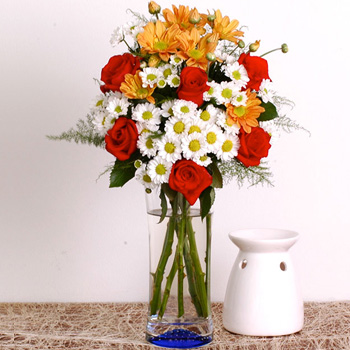 Red Carnival - flowers