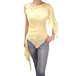 Chiffon Embroidery Top