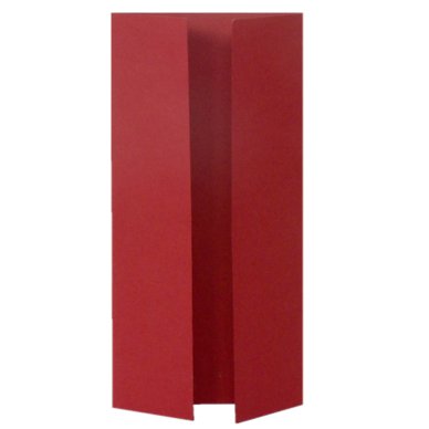Red Outer Sleeve (DL Wardrobe) - 10 Pack