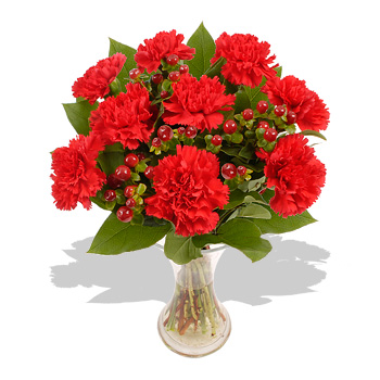 Red Passion - flowers