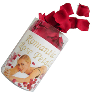 Red Rose Petal Confetti - 100 Fragrant