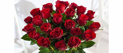 Red Roses Double Dozen