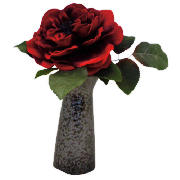 Rose In Black Bud Vase