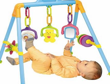 Redbox Activity Play Gym - Richmond Toys