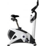 reebok 5.5e Performance Bike